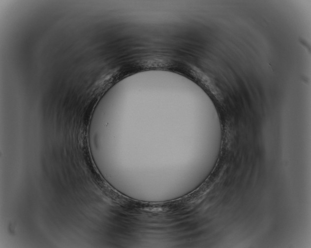 X0000093590161200710151024