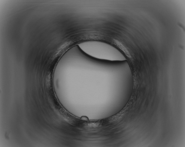 X0000093590163200710151024