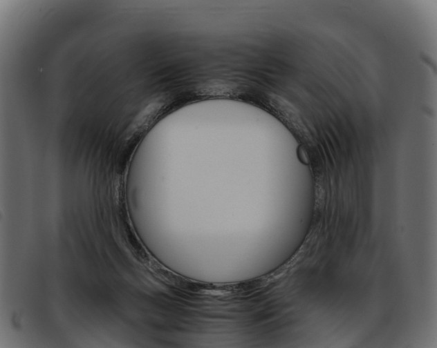 X0000093590167200710151024