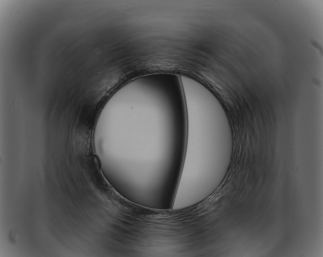 X0000093590168200710151024