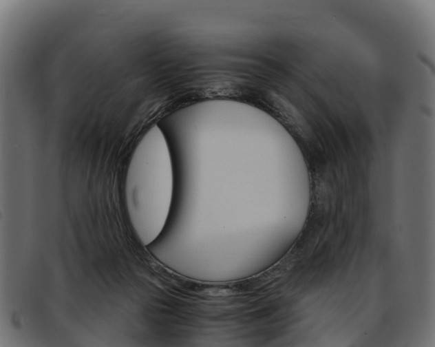 X0000093590169200710151024
