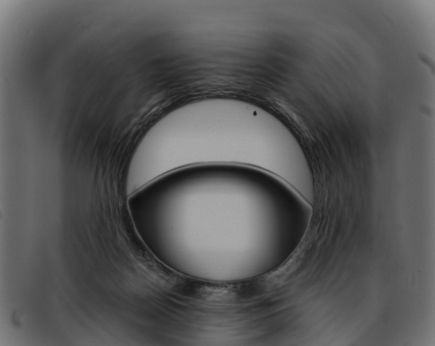 X0000093590170200710151024
