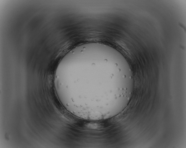 X0000093590171200710151024