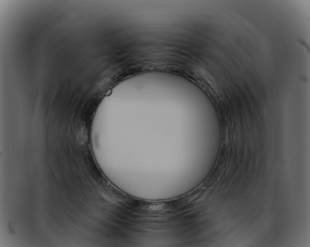 X0000093590173200710151024