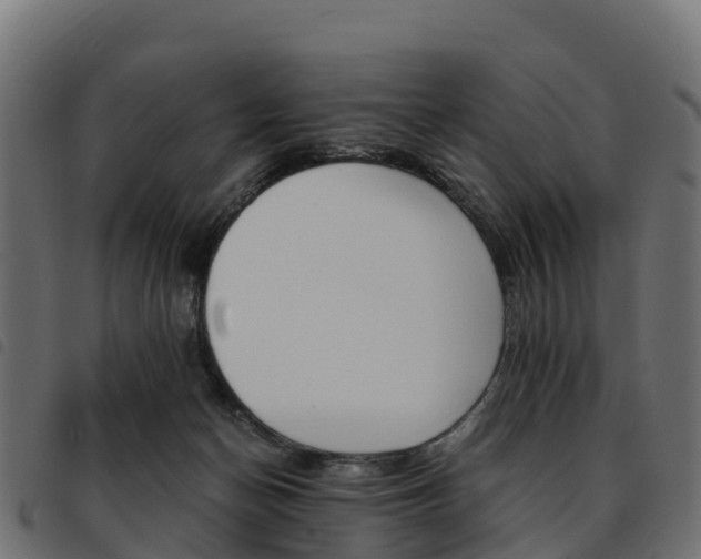 X0000093590174200710151024