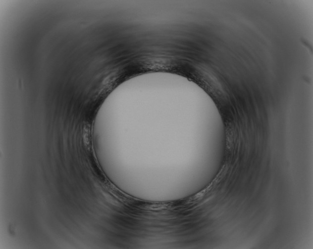 X0000093590175200710151024