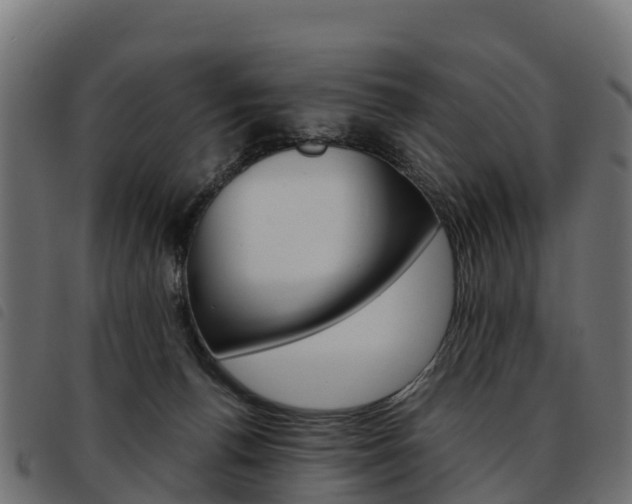X0000093590176200710151024