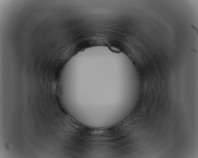 X0000093590177200710151024
