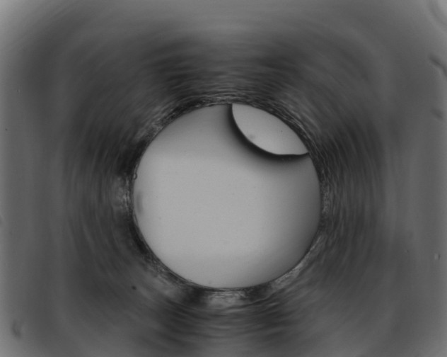 X0000093590179200710151024