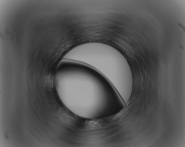 X0000093590180200710151024