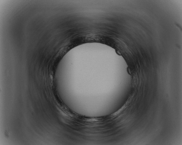 X0000093590183200710151024