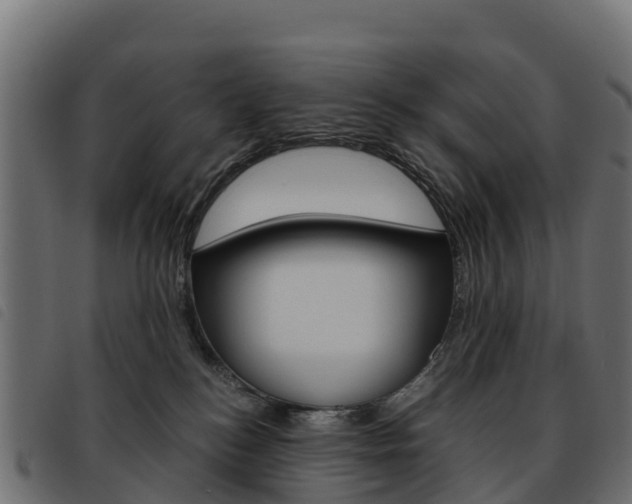 X0000093590184200710151025