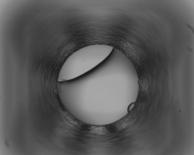 X0000093590185200710151025