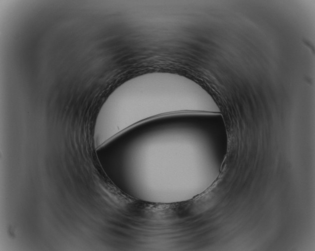 X0000093590186200710151025