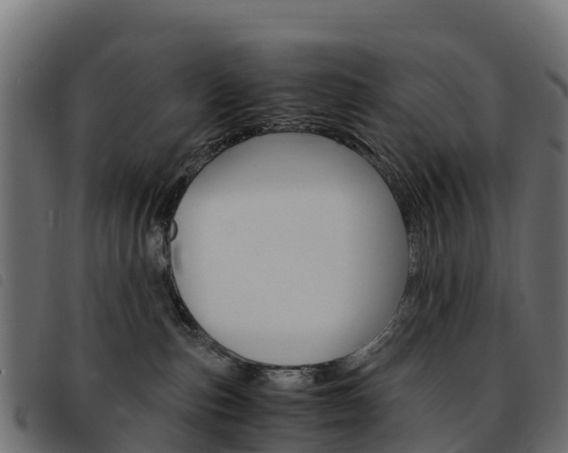X0000093590187200710151025