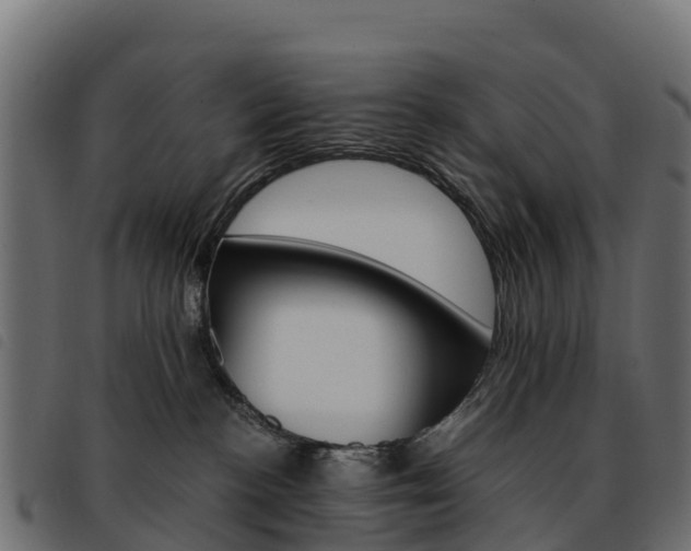 X0000093590188200710151025