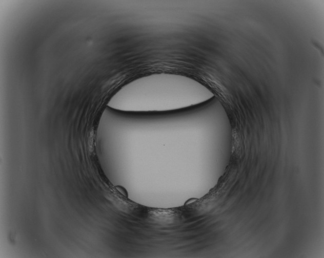 X0000093590189200710151025