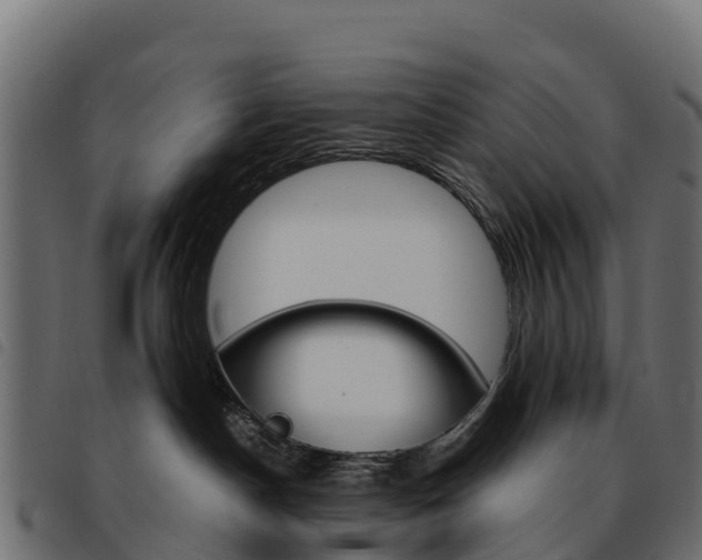 X0000093590190200710151025