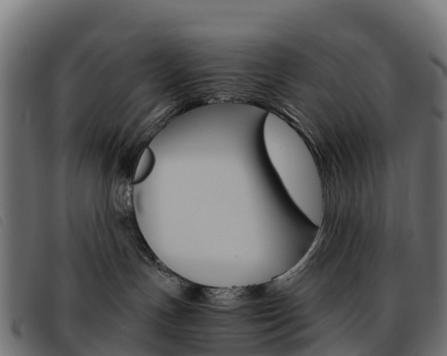 X0000093590191200710151025