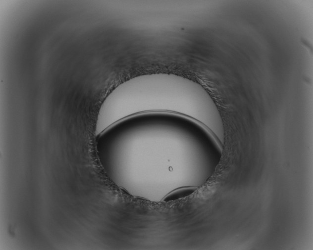 X0000093590192200710151025