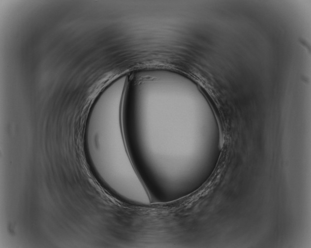 X0000093590193200710151024