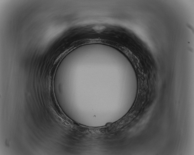 X0000093590194200710151024