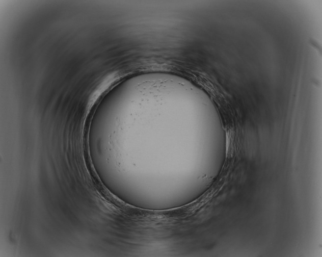 X0000093590195200710151024