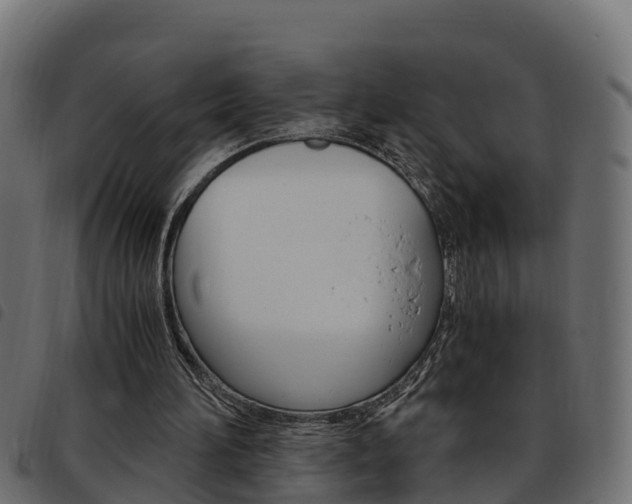 X0000093590196200710151024