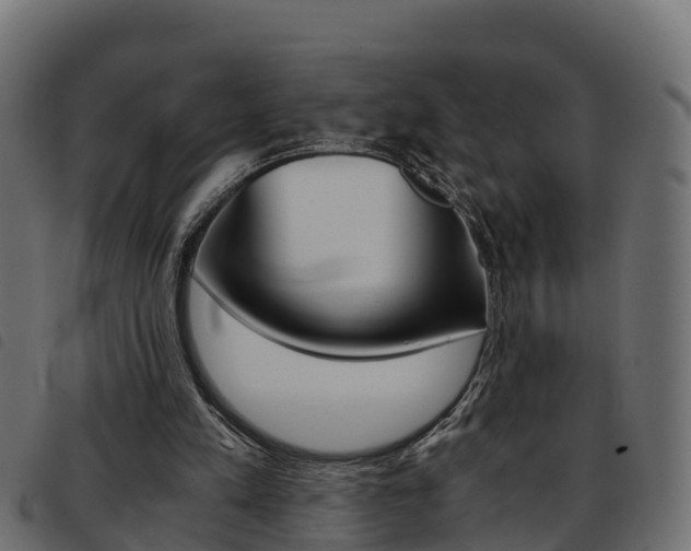 X0000093590197200710151024
