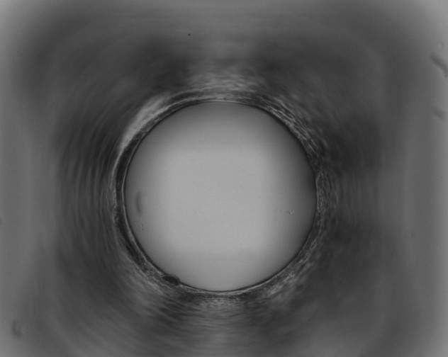 X0000093590198200710151024