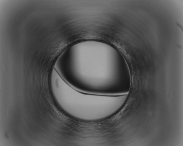 X0000093590201200710151024
