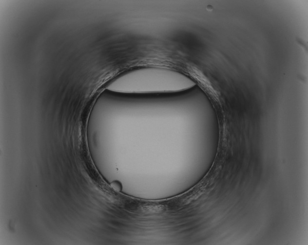 X0000093590202200710151024