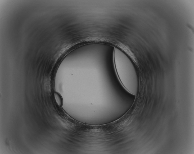 X0000093590204200710151024