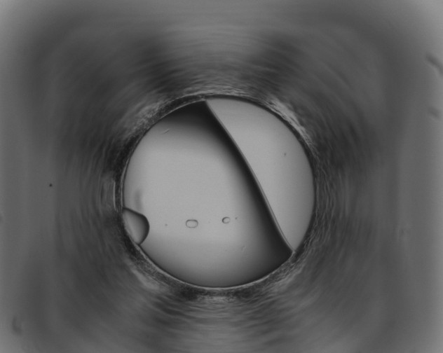 X0000093590205200710151024