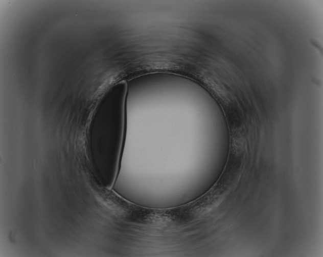 X0000093590207200710151024