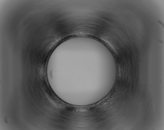 X0000093590208200710151024