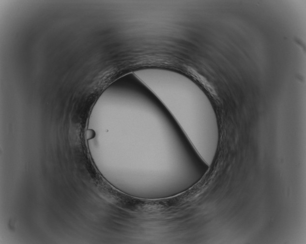 X0000093590209200710151024
