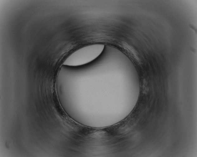X0000093590210200710151024