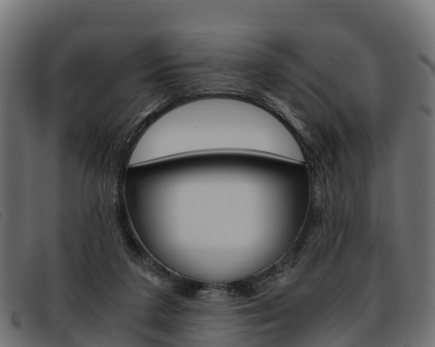 X0000093590211200710151024