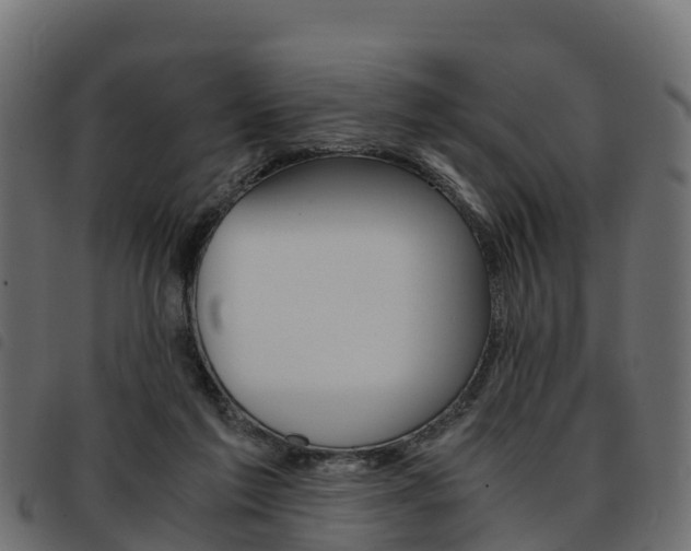 X0000093590213200710151024