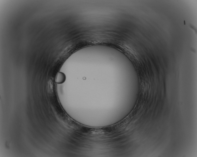 X0000093590214200710151024
