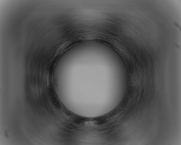 X0000093590216200710151024