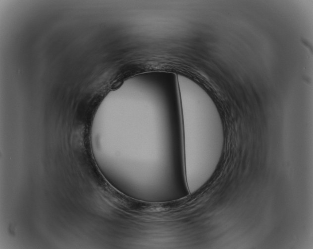 X0000093590217200710151024