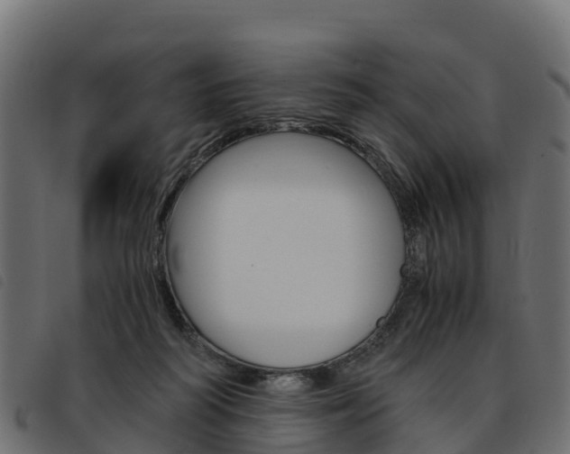 X0000093590218200710151024