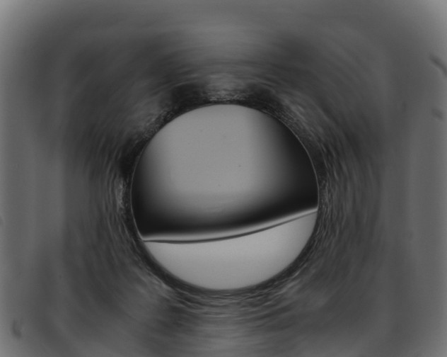 X0000093590219200710151024