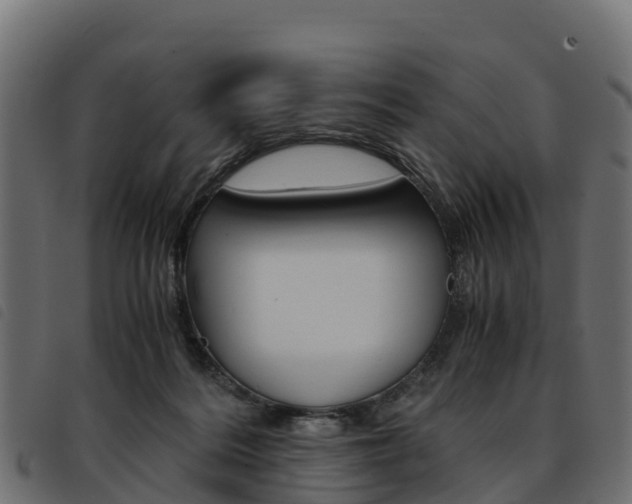X0000093590220200710151024