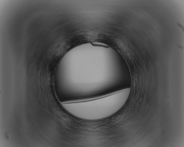 X0000093590221200710151024