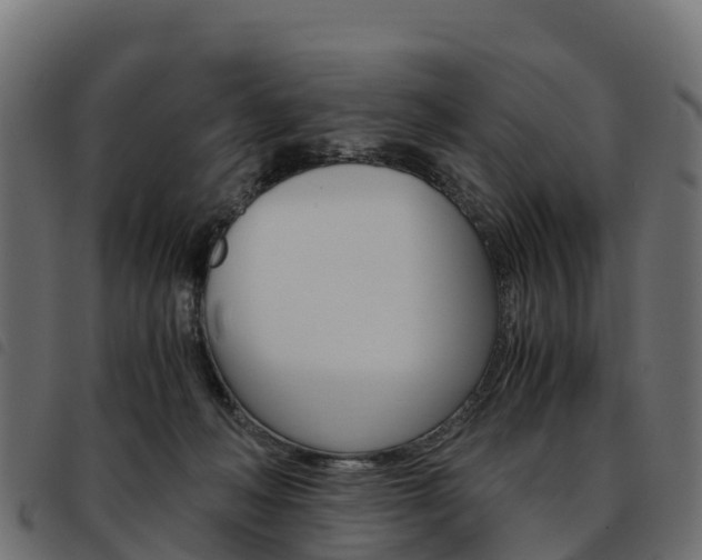 X0000093590222200710151024