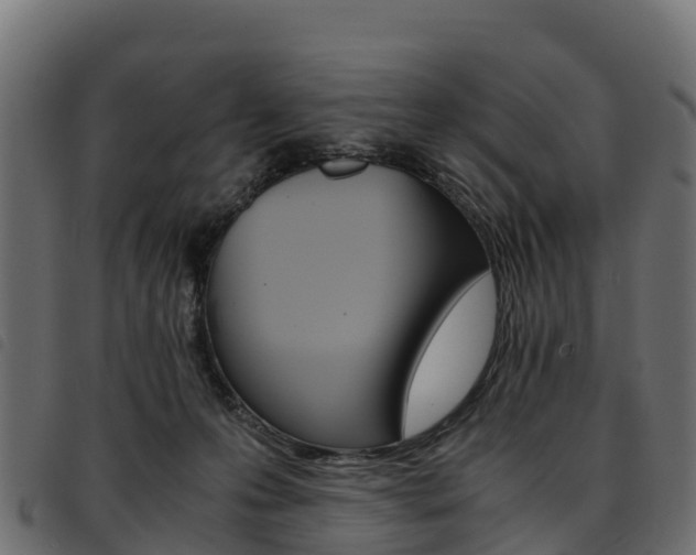 X0000093590223200710151024