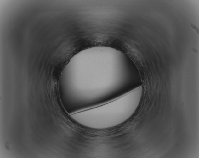 X0000093590225200710151024